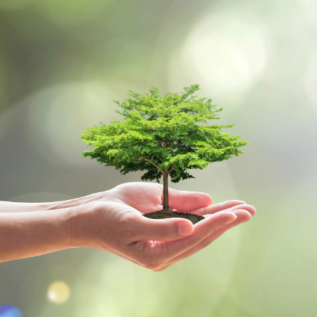 Seguro Ambiental